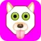 Funny Face Pro