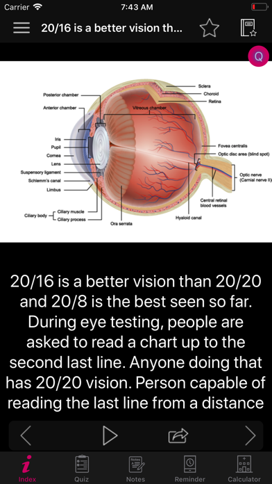 Human Eye Anatomy Fact,Quiz 2k স্ক্রিনশট