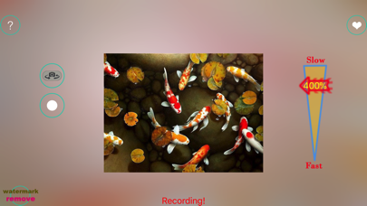 Slow Motion & Fast Motion Pro Screenshots