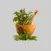 موسوعة الاعشاب الطبية herbs dictionary