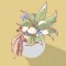 Healthy plants