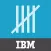 IBM Maximo Physical Count
