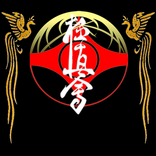 iBudokan Kyokushinkai