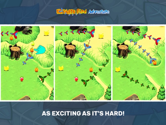 Captures d'écran de Ultimate Birds Adventure: Game iPad 