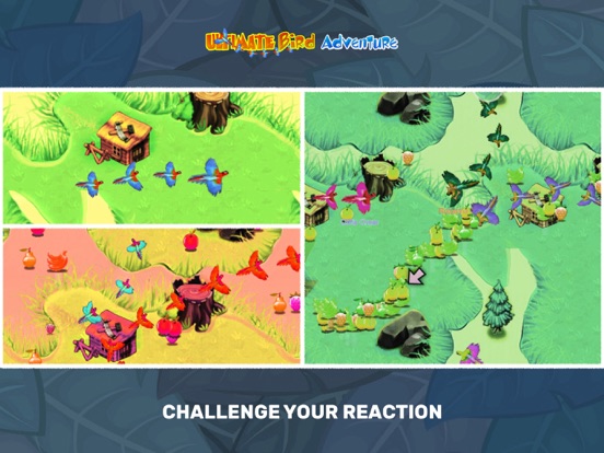 Captures d'écran de Ultimate Birds Adventure: Game iPad 