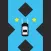 Risky Car Driver