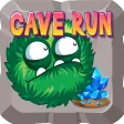 Cave Run