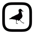 Grabit Pro for Instagram