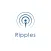 IL Ripples