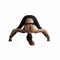 Kula Yoga