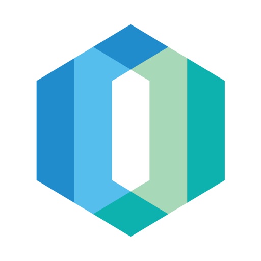 IdeaTek Voice Pro