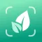 AI Plant Identifier - Care App