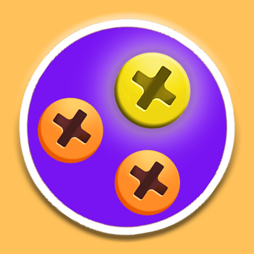 Screw Puzzle