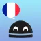 French Verbs Pro - LearnBots