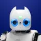 Robots Guide