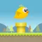 Idiot Bird