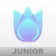 Blur.Depth Jr.
