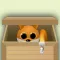 Useless Box Fun