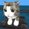 Tippy Tap - Cat