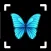 Butterfly Identifier: Moth ID