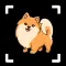 Dog Identifier: Puppy Breed ID