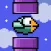 Flighty Adventure