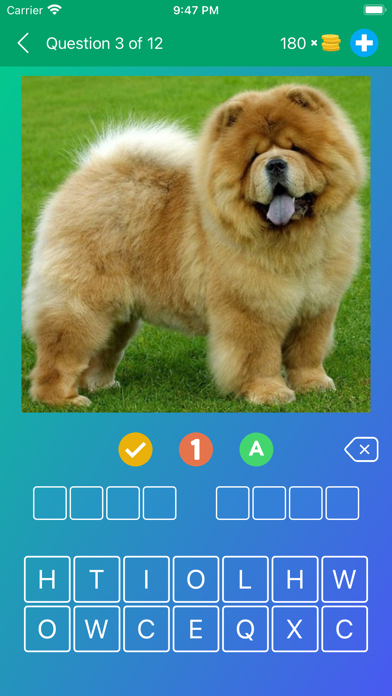 Dog Breeds Quiz: Guess the Pet Screenshots