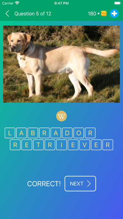 Dog Breeds Quiz: Guess the Pet Screenshots