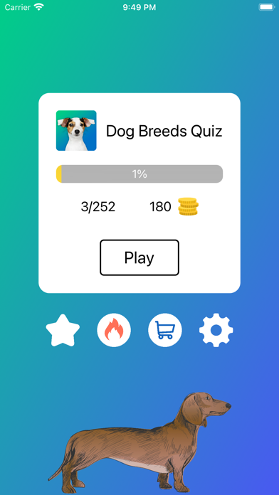 Dog Breeds Quiz: Guess the Pet Screenshots
