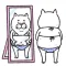 Pretty cat ３