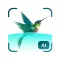 Bird Detect