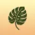 Plant Diagnosis & Help