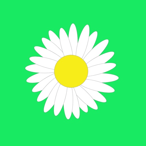 Flower Identify Flower Identify
