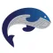 Whales College
