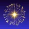 Fireworks Camera: FireSnap