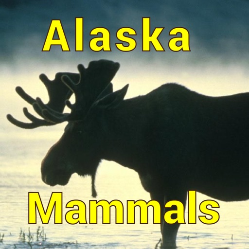 Alaska Mammals Alaska Mammals