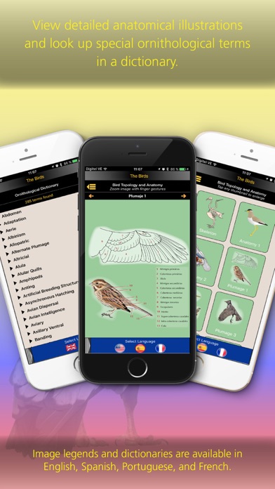 The Birds of Ecuador Screenshots