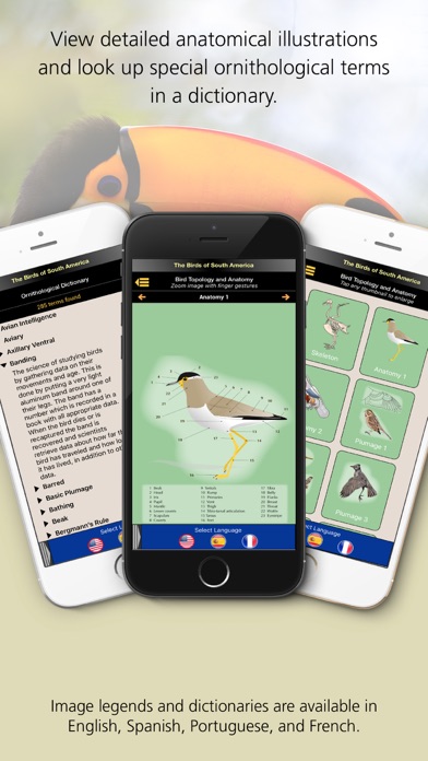 Birds of South America Screenshots