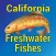 California Freshwater Fishes