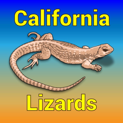 California Lizards California Lizards