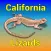 California Lizards