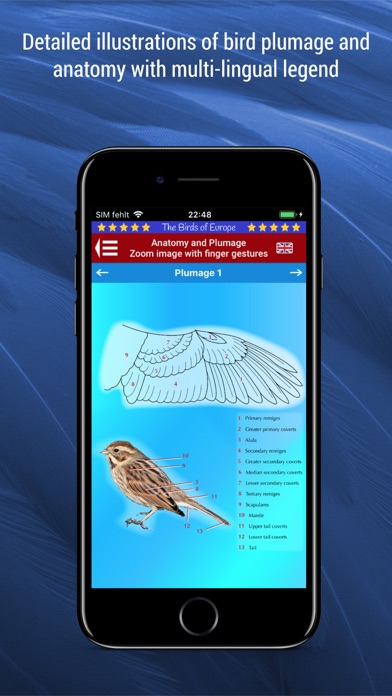 Birds of Europe Screenshots