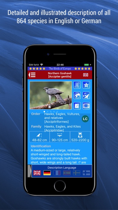 Birds of Europe Screenshots