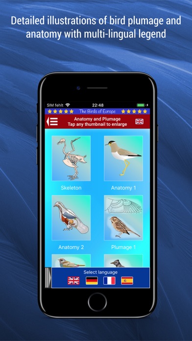 Birds of Europe Screenshots