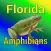 Florida Amphibians