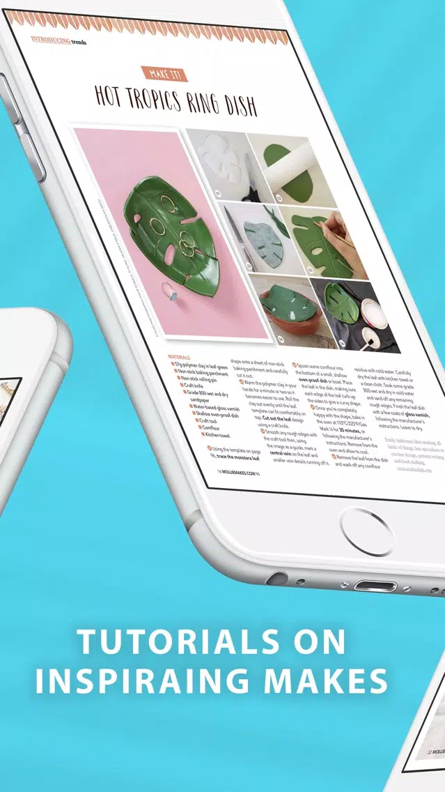 Mollie Magazine - Craft Ideas Screenshots