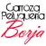 Carroza Peluquería Borja