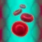 BloodPlay - An Educational Adventure