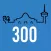 Witte 300
