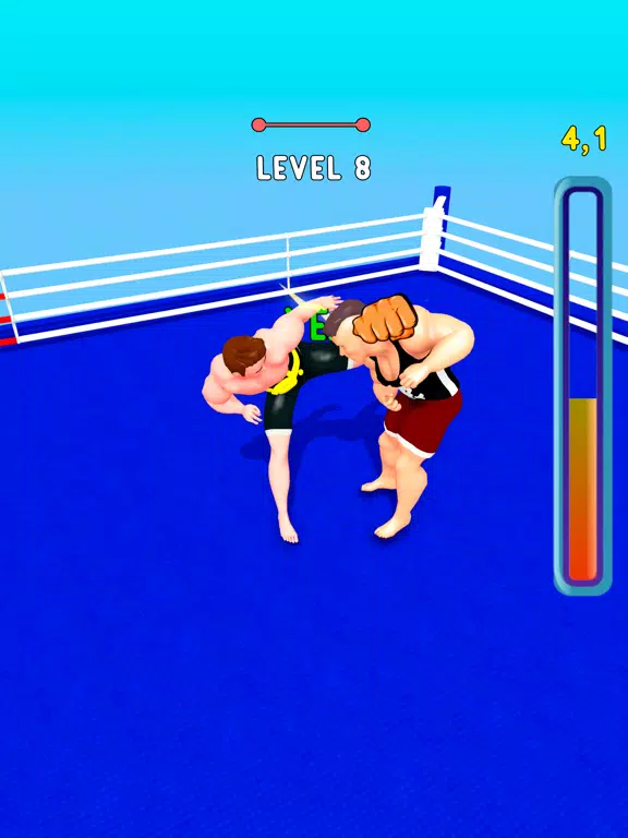 Boxer Training iPad Screenshots